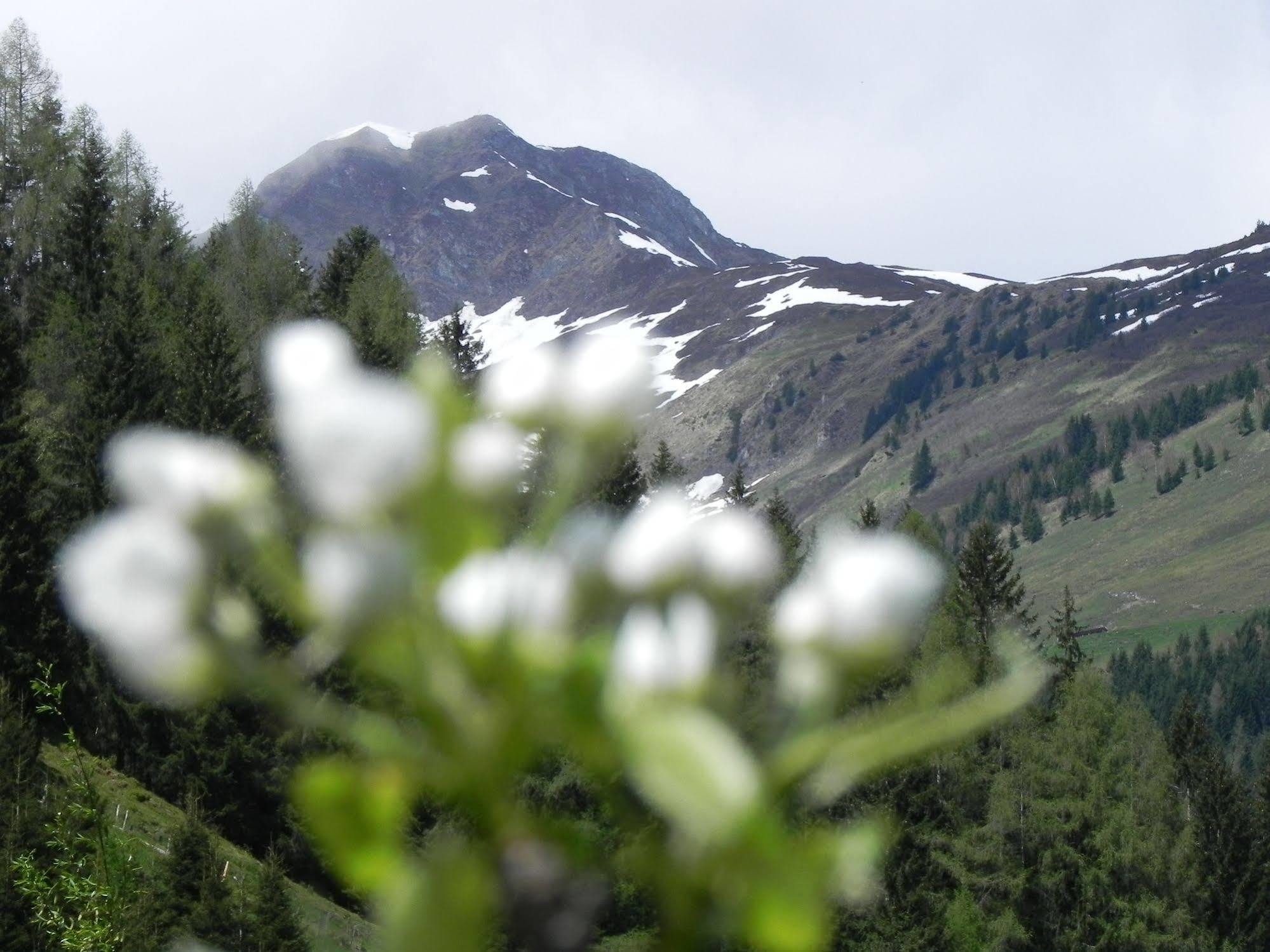 Hotel Garni Wieshof Rauris Esterno foto