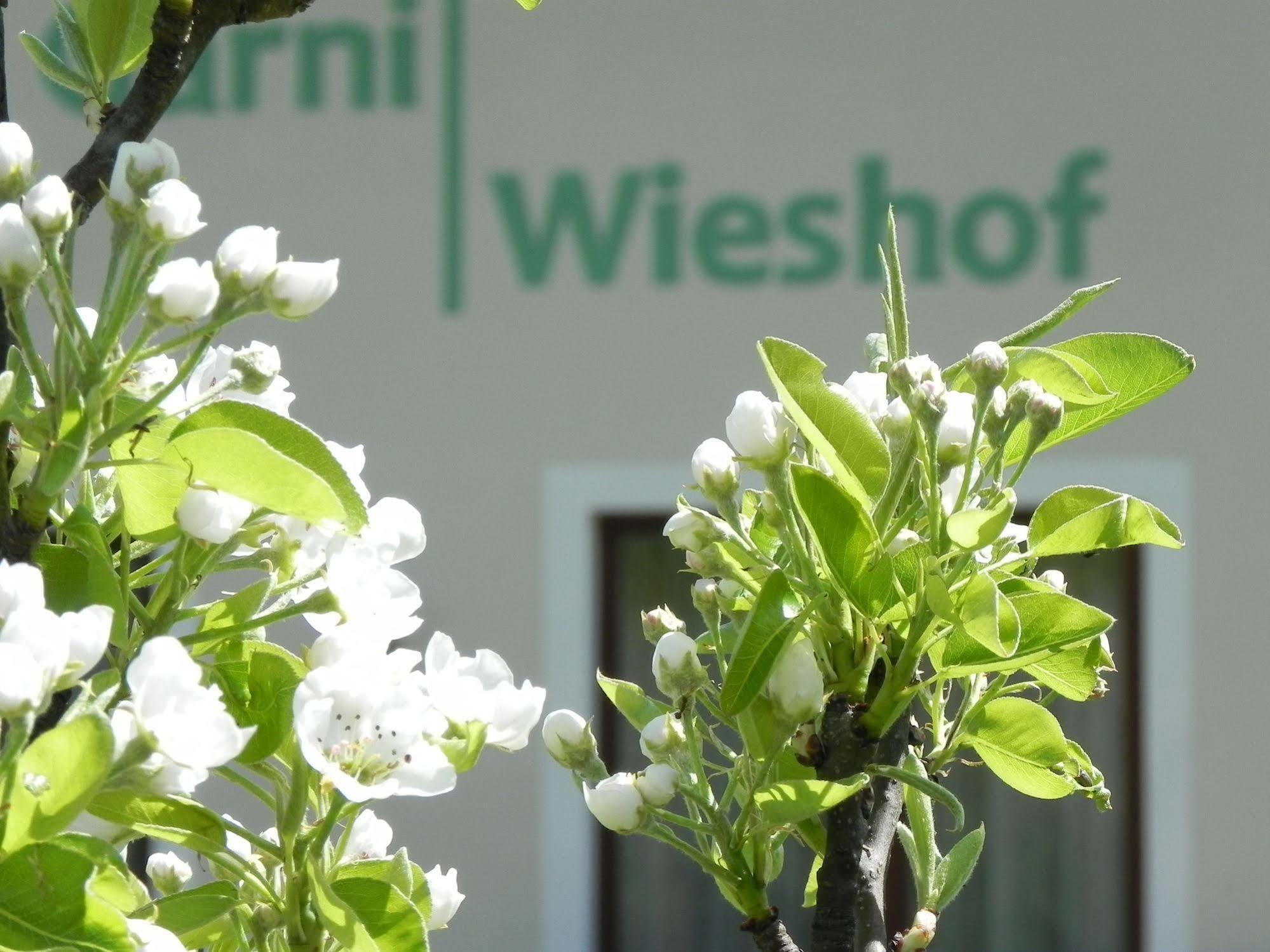 Hotel Garni Wieshof Rauris Esterno foto
